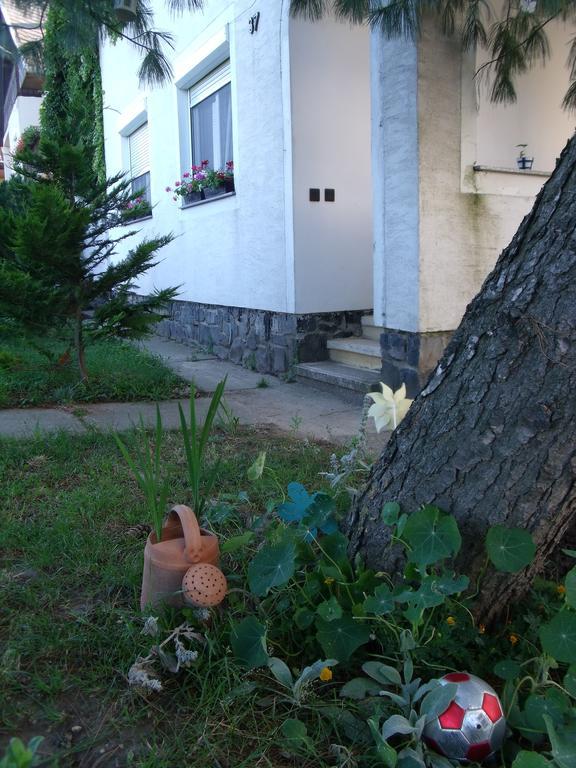 Viola Vendégház Kehidakustány Extérieur photo